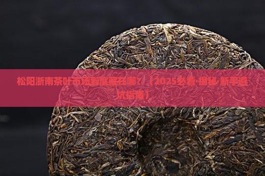 松阳浙南茶叶市场在哪里