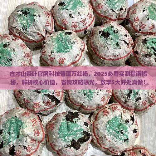 古才山茶叶官网科技普洱万红扬