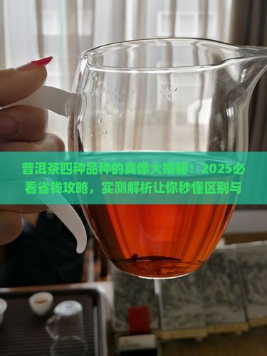 普洱茶四种品种的区别与功效