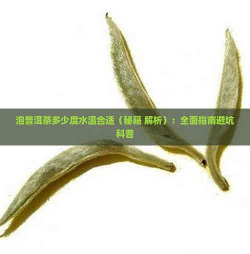 泡普洱茶多少度水温合适