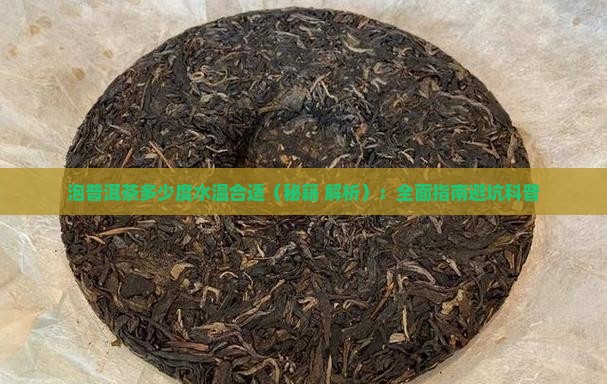 泡普洱茶多少度水温合适