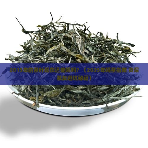 2015年的茶叶现在能喝吗