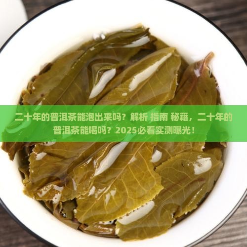 二十年的普洱茶能泡出来吗
