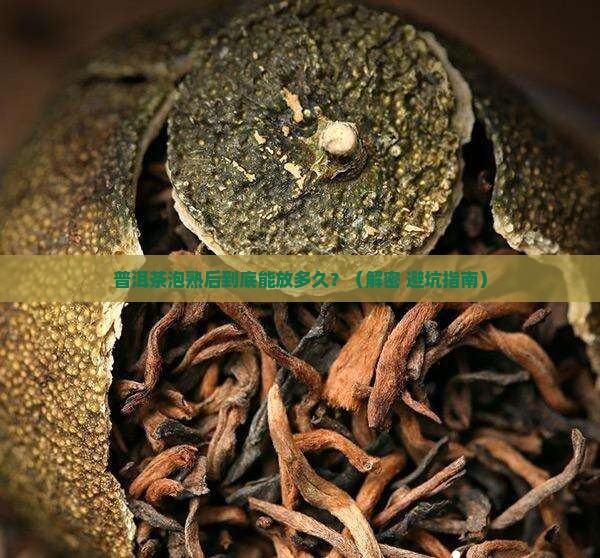 普洱茶泡熟的能放多久