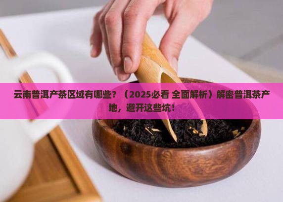 云南普洱产茶区域