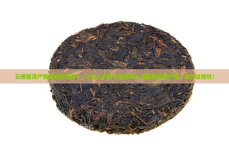 云南普洱产茶区域