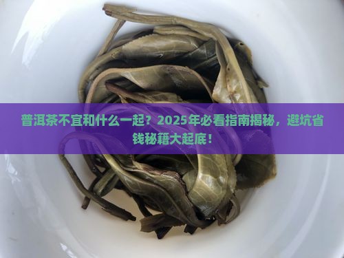 普洱茶不宜和什么一起