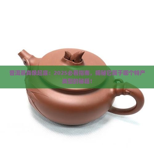 普洱茶属于哪个特产类型