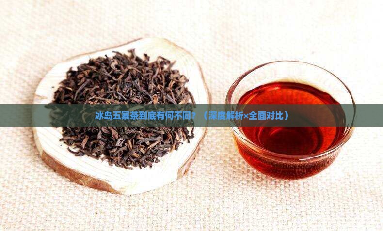 冰岛五寨茶各有什么特点