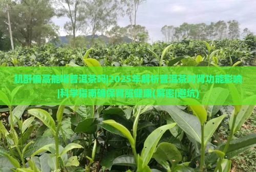 肌酐偏高能喝普洱茶吗