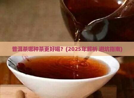 普洱茶中哪种茶好喝一点