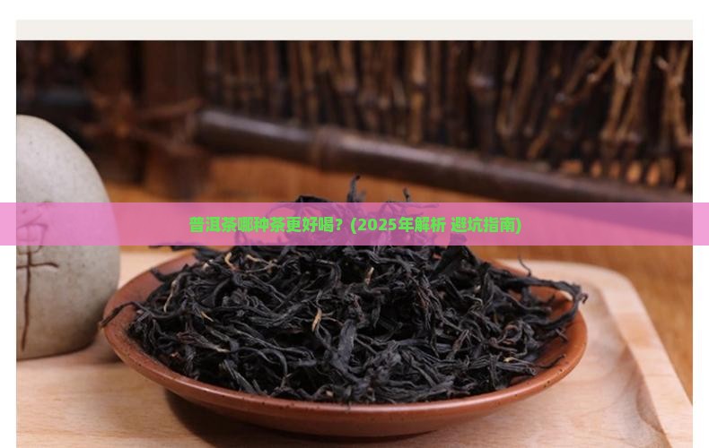 普洱茶中哪种茶好喝一点