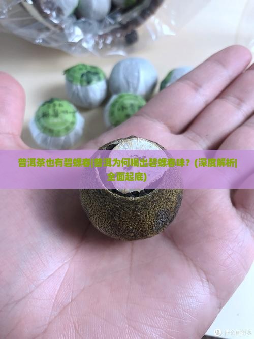 普洱茶也有碧螺春
