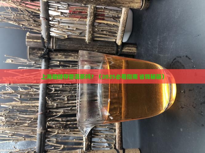 上海能储存普洱茶吗