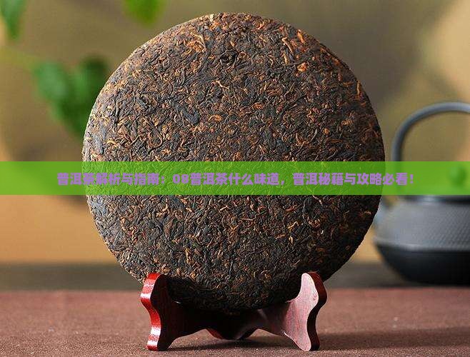 08普洱茶什么味道