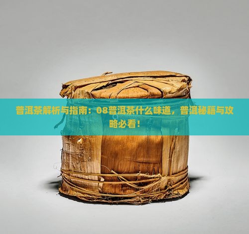 08普洱茶什么味道