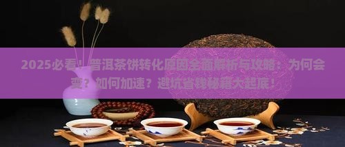 普洱茶饼的转化原因