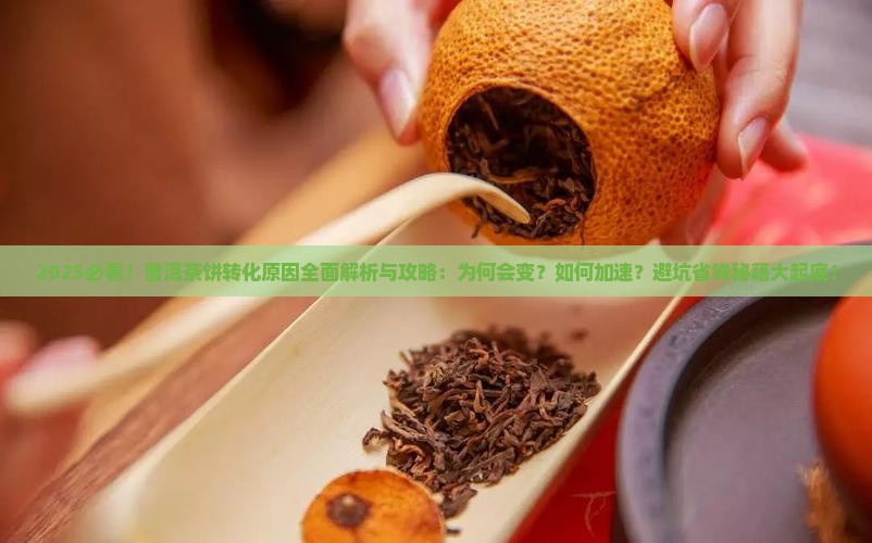 普洱茶饼的转化原因
