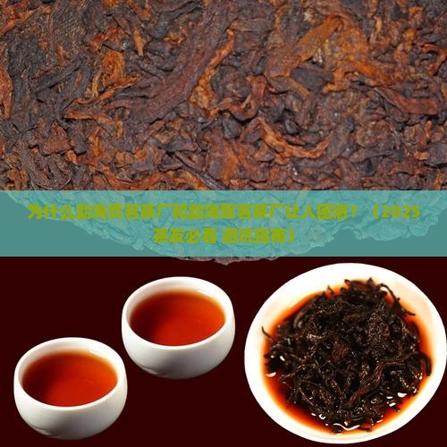 勐海贡茗茶厂勐海聚茗茶厂