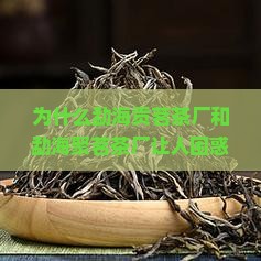 勐海贡茗茶厂勐海聚茗茶厂