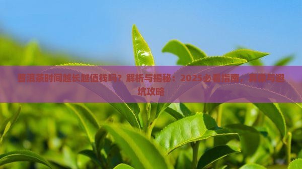 普洱茶时间越长越值钱吗
