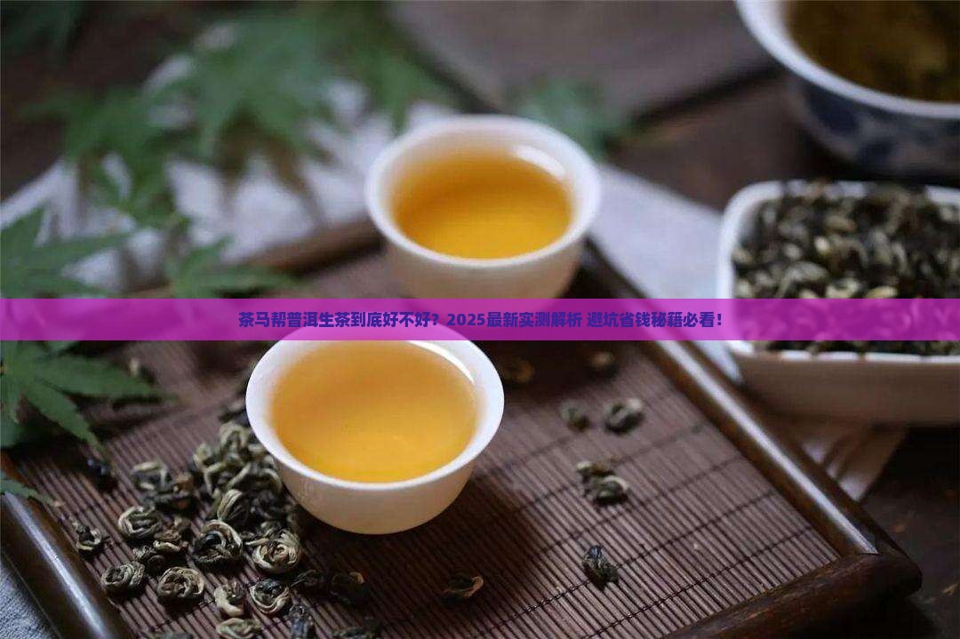 茶马帮普洱生茶