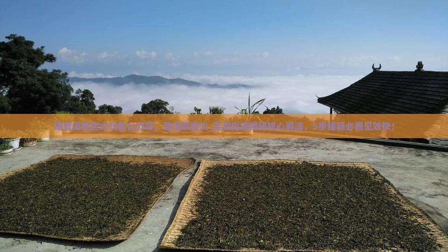 喝普洱茶泄火吗怎么办呀 喝普洱茶泄火吗怎么办呀