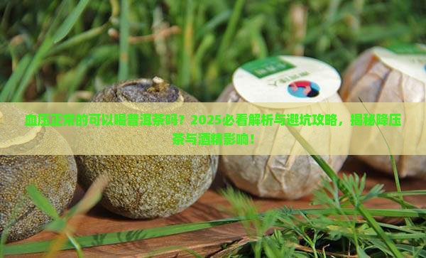 血压正常的可以喝普洱茶吗