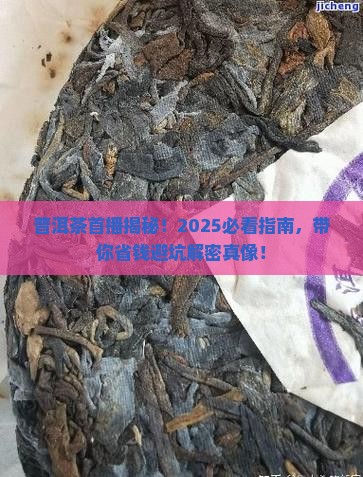 普洱茶首播预告