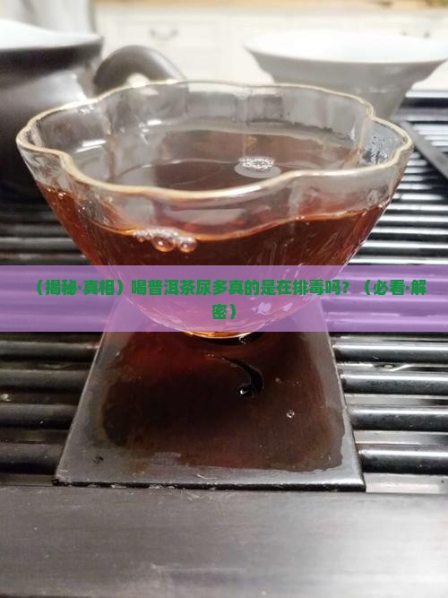 喝普洱茶尿多是排毒吗