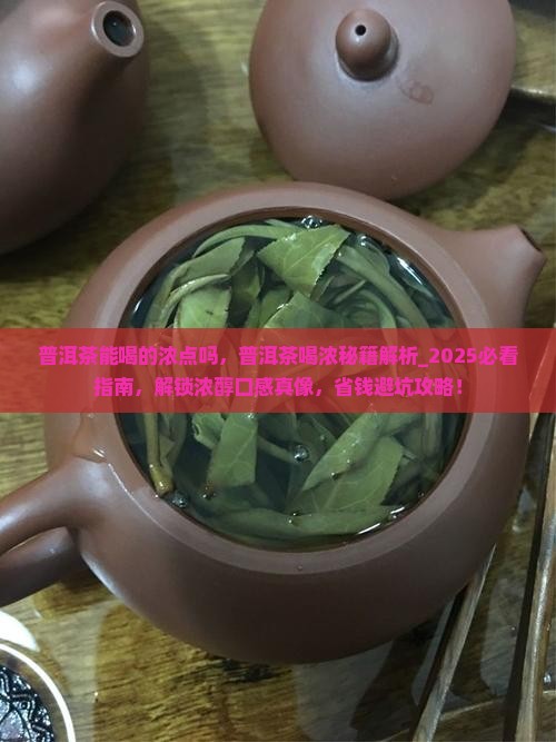 普洱茶能喝的浓点吗