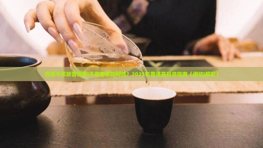 古墨千年妖普洱茶