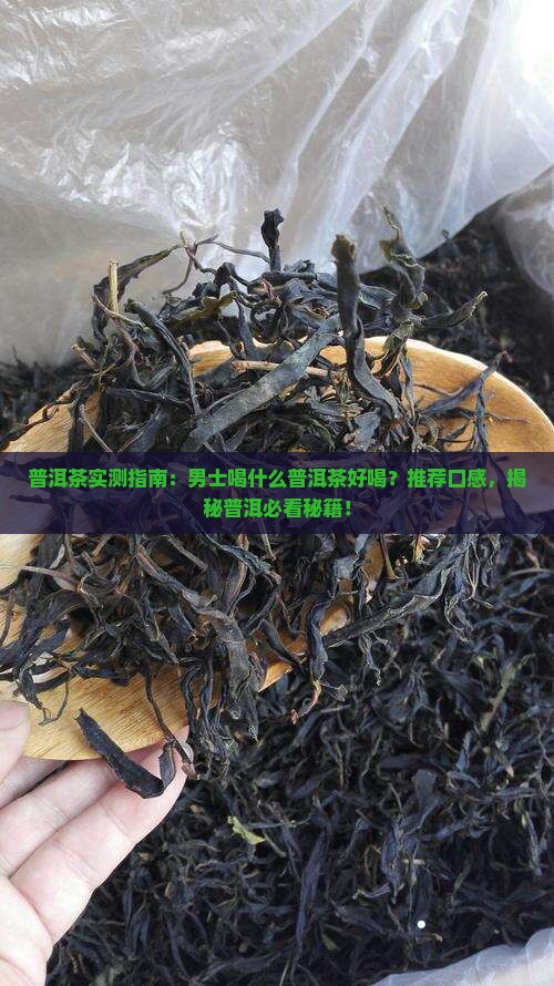 男士喝什么普洱茶好喝