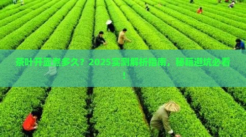 茶叶开壶煮多久