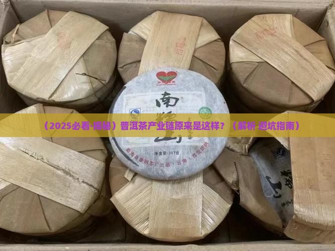 普洱茶产业链结构分析表