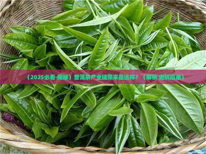普洱茶产业链结构分析表