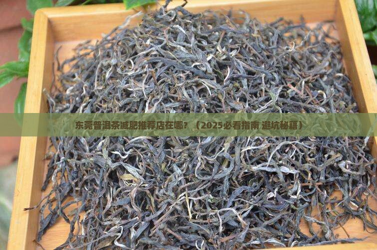 东莞普洱茶减肥推荐店在哪