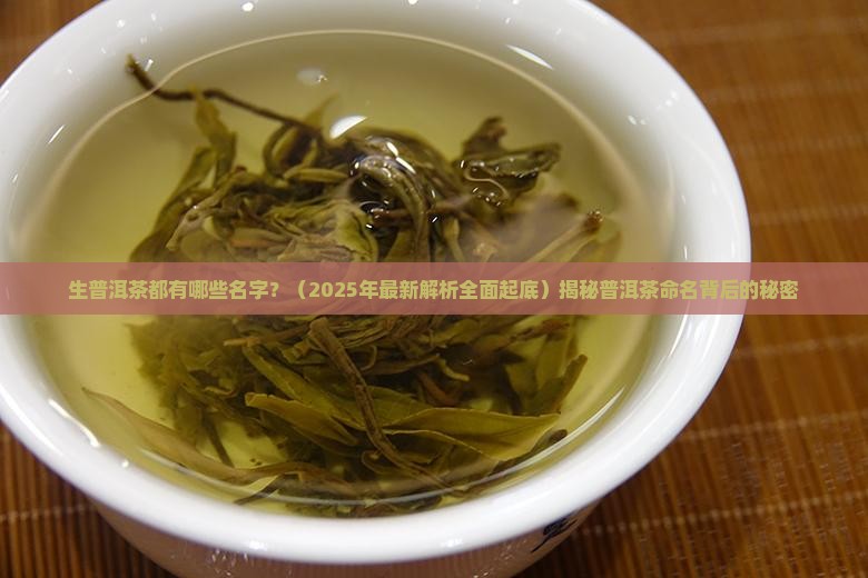 生普洱茶都有哪些名字
