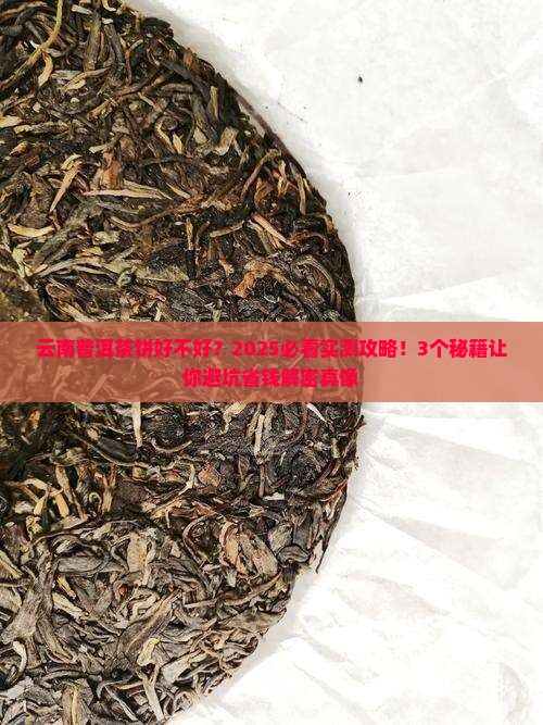 云南普洱茶饼好不好