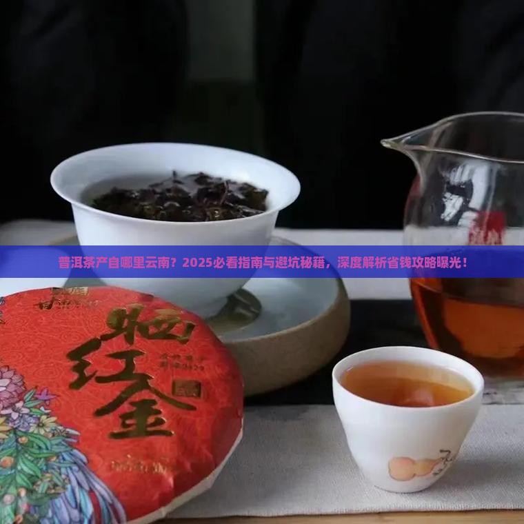 普洱茶产自哪里云南