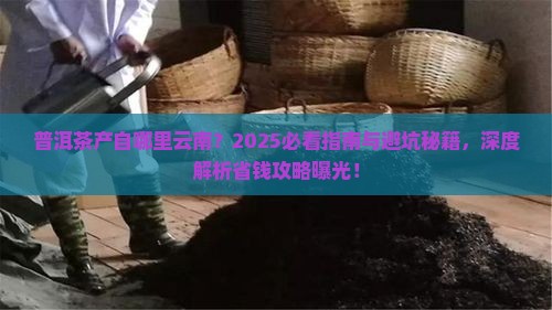 普洱茶产自哪里云南