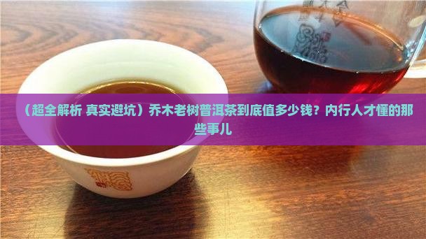 乔木老树普洱茶价格多少