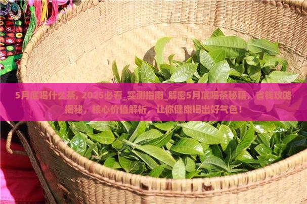 5月底喝什么茶