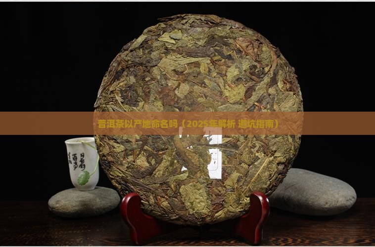 普洱茶以产地命名吗