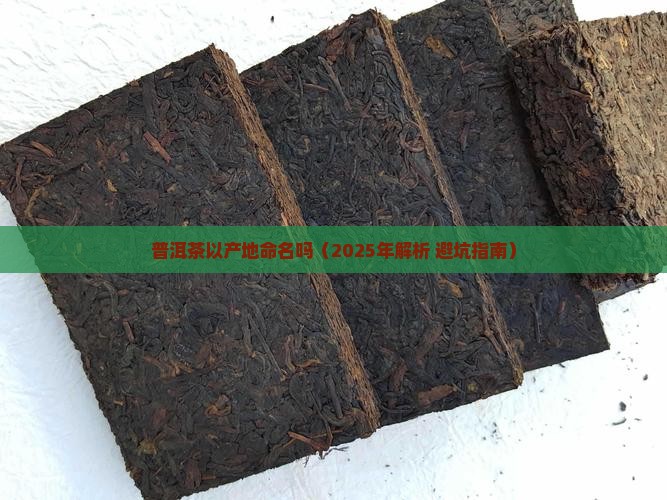 普洱茶以产地命名吗