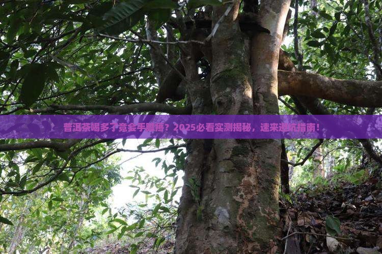 普洱茶副作用会手脚疼