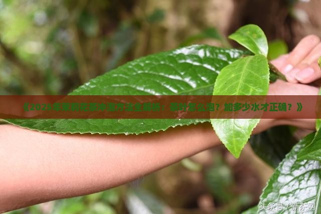 茉莉茶叶怎么泡加多少水 茉莉茶叶怎么泡加多少水