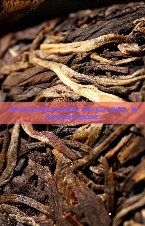 首长壹号普洱茶