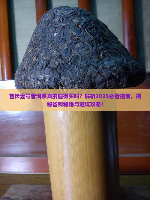首长壹号普洱茶