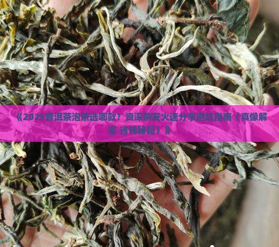 普洱茶泡茶推荐哪种茶好